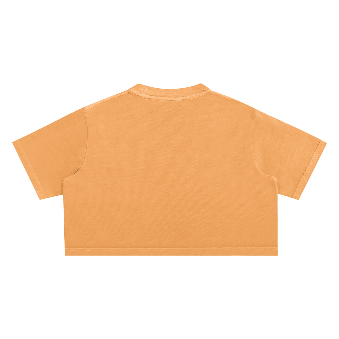 Raceway Crop Top