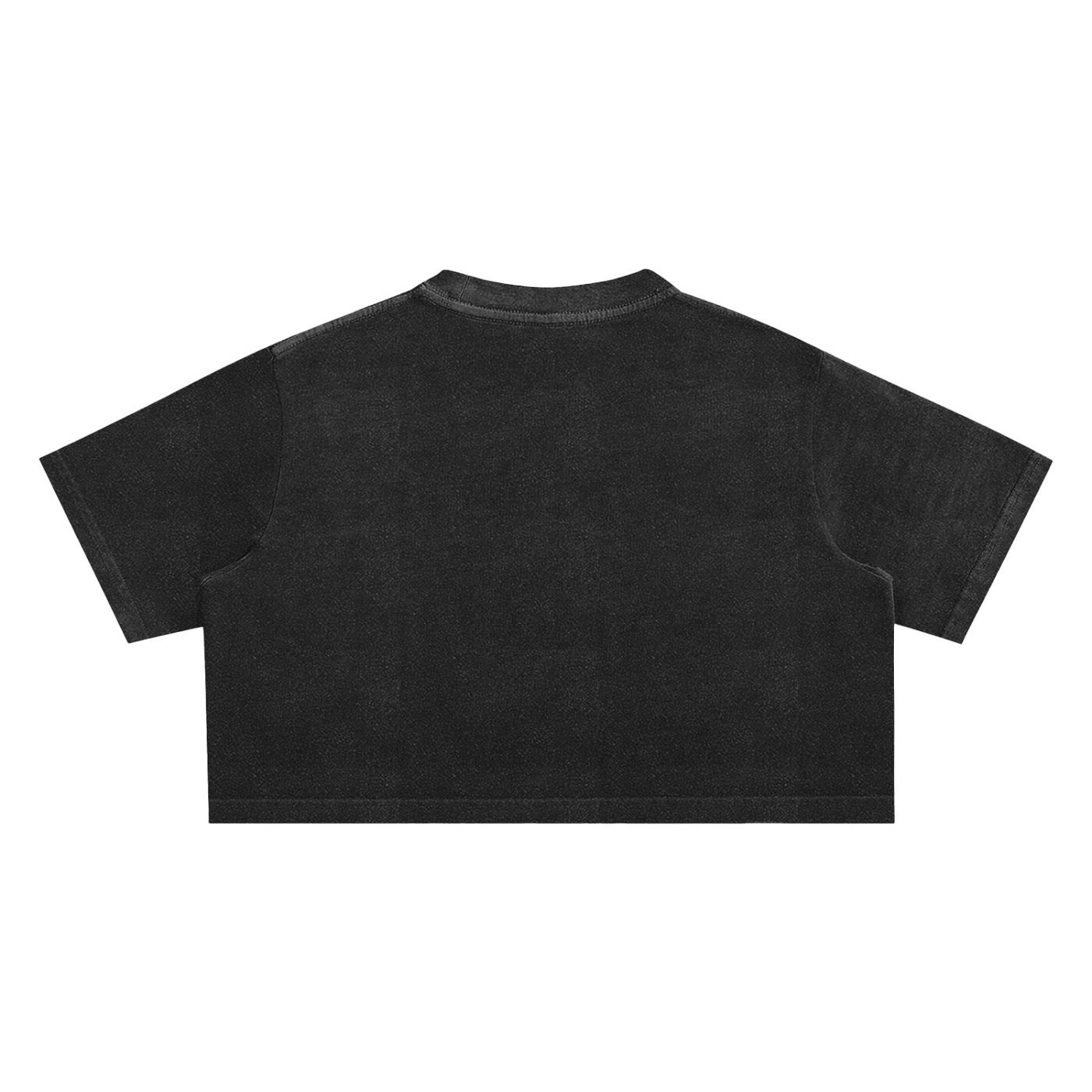 Raceway Crop Top